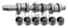 VW 045109101CS1 Camshaft Kit